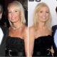 Diane Plese: The Real Story of Robert Herjavec’s Ex-Wife