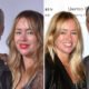 Jose Stemkens: What Happened to Titus Welliver’s Ex-Wife?