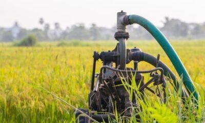 What You Should Know Before Adding a Private Well to Your Florida Property