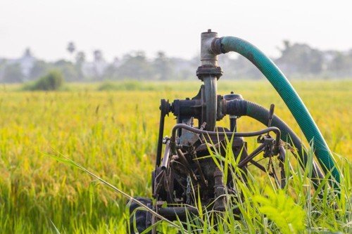 What You Should Know Before Adding a Private Well to Your Florida Property