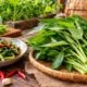 Yalla Choy: What It Is, Taste, Benefits, Uses, and More