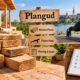 Plangud: Everything You Should Know About This Estonian Word