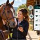 BK Horse: Everything You Need to Know About This Horse App